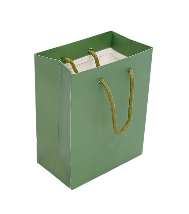 Green 6pcs handmade cardboard gift bag Size 12×7×15CM