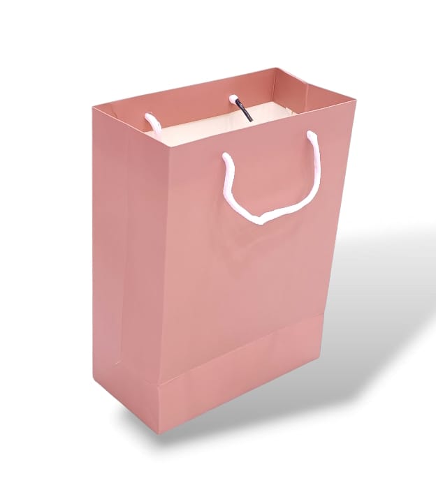 Pink 4-piece carton gift bag Size 18×9×24CM