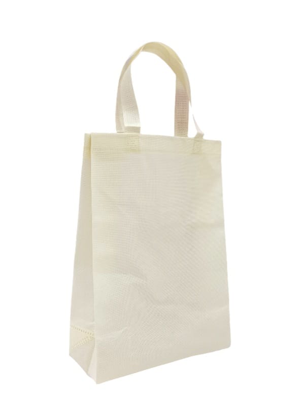 Canvas shopping bags that can be used more than once, 12 piecesSize  (S)25×35×11CM