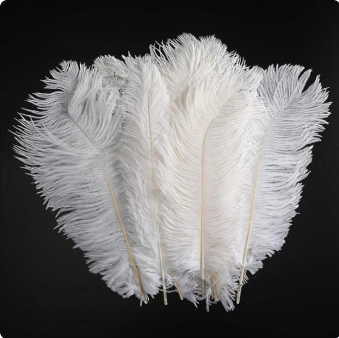 Natural white feathers for party decoration and gifts 1 piece Size   65×60CM