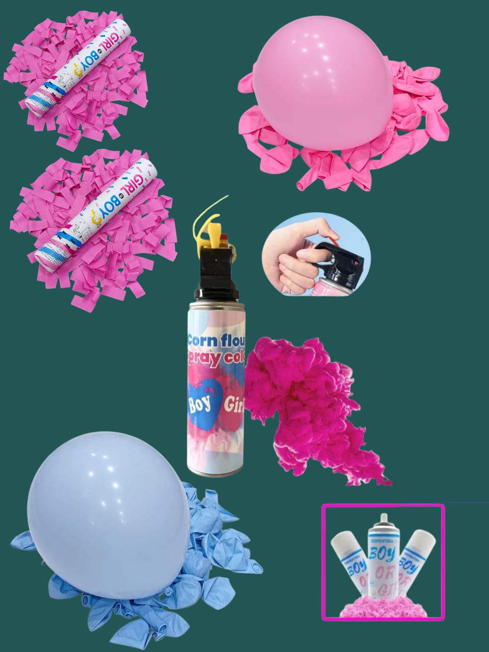 Determining the sex of the fetus