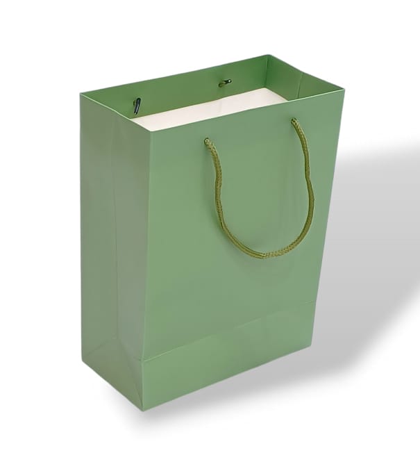 Green 4pcs handmade cardboard gift bag Size 18×9×24CM