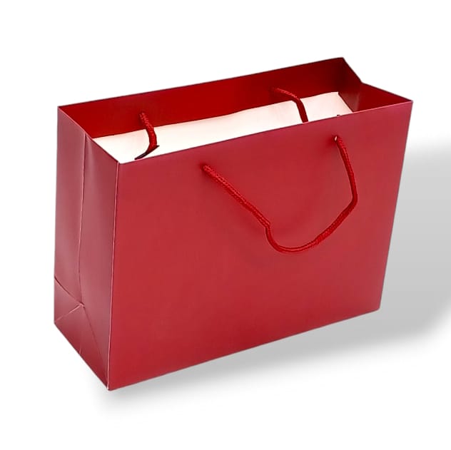 Handmade cardboard gift bag 4pcs in classic red Size 18×9×24CM